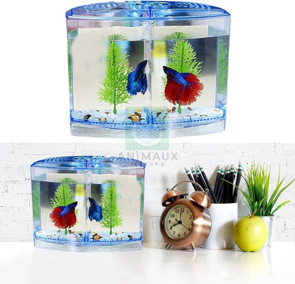 Betta Fish Tanks