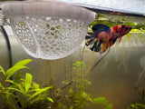 Floating Aquarium Hide
