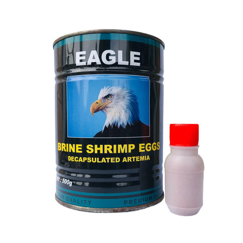 Eagle Decapsulated Brine Shrimp Eggs 20g