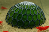 🐠 Aquarium Moss Dome Plant Holder