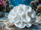 White Sea Coral Aquarium Ornament