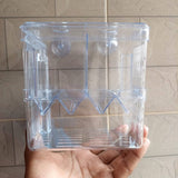 YEE YSL Breeding Hatching Box Fish