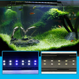 Quanlong QL-40S Bracket LED Aquarium Light 10-50cm 6W