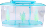 3 in 1 Betta Fish Tank – Imported 3-Compartment Aquarium Tank