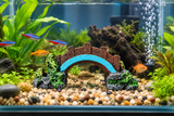 🌉 Aquarium Bridge Ornament