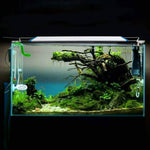 Quanlong Aquarium LED QL-50S for Fish Tank, Planted Aquarium