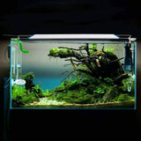 Quanlong Aquarium LED QL-50S for Fish Tank, Planted Aquarium