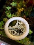 Floating Aquarium Hide