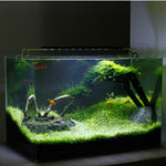 Quanlong Aquarium LED QL-50S for Fish Tank, Planted Aquarium