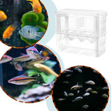 YEE YSL Breeding Hatching Box Fish