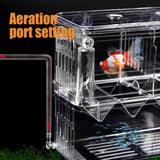 YEE YSL Breeding Hatching Box Fish