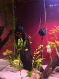 🖤 Floating Sea Mine Aquarium Ornament