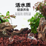 Yee Volcanic Stone Fish Tank Bttom Sand natural Lava Rocks 1kg