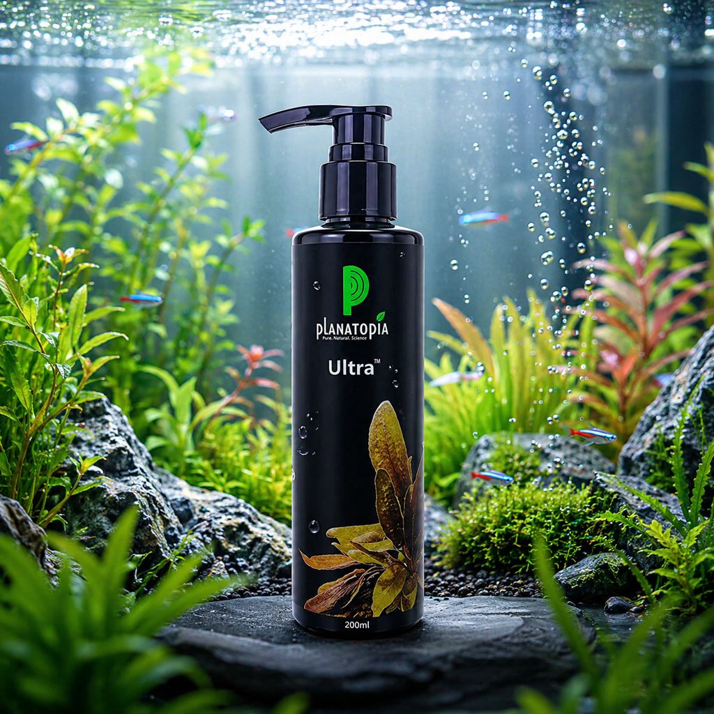 plant fertilizer for fish tank Planatopia Ultra 200ml Aqurium Fish Tank Liquid Fertilizer – AQUA LINK