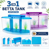 3 in 1 Betta Fish Tank – Imported 3-Compartment Aquarium Tank