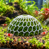 🐠 Aquarium Moss Dome Plant Holder