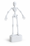 Aquarium Dancing Skeleton