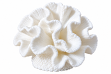 White Sea Coral Aquarium Ornament