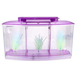 3 in 1 Betta Fish Tank – Imported 3-Compartment Aquarium Tank