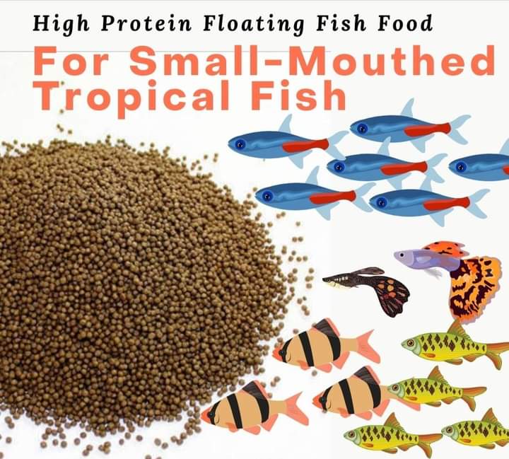 SKRETTING Micro80 Fish Food High Protein 0.8mm AQUA LINK