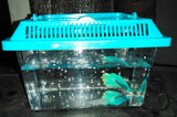 Betta Fish Boxs